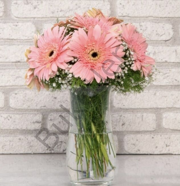 Vazoda Pembe Gerbera Aranjmanı
