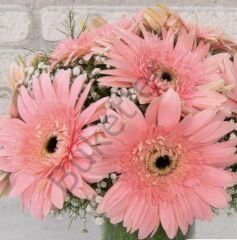 Vazoda Pembe Gerbera Aranjmanı