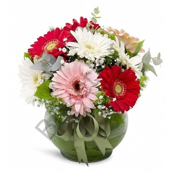 Vazoda Kırmızı Pembe & Beyaz Gerbera Aranjmanı