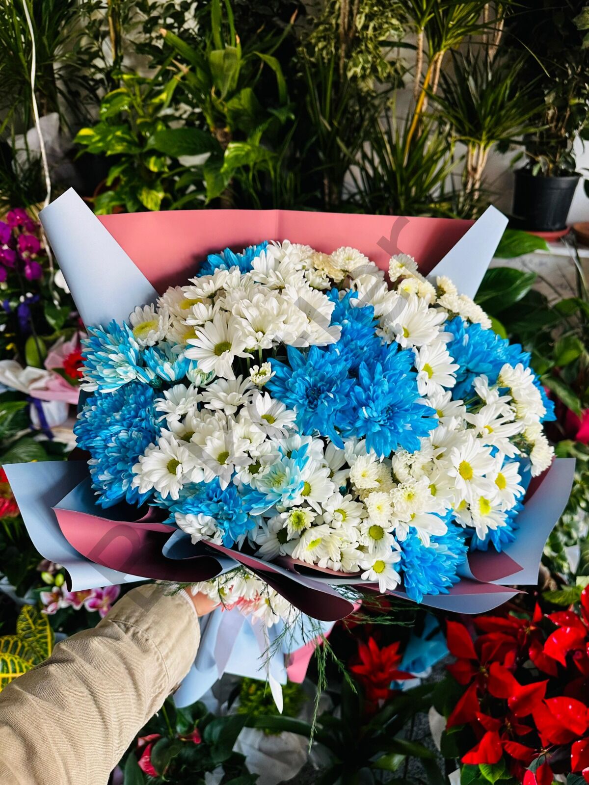 Beyaz & Mavi Papatyalar Buketi