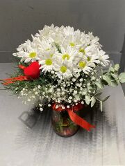 Vazoda Beyaz Papatya Aranjmanı