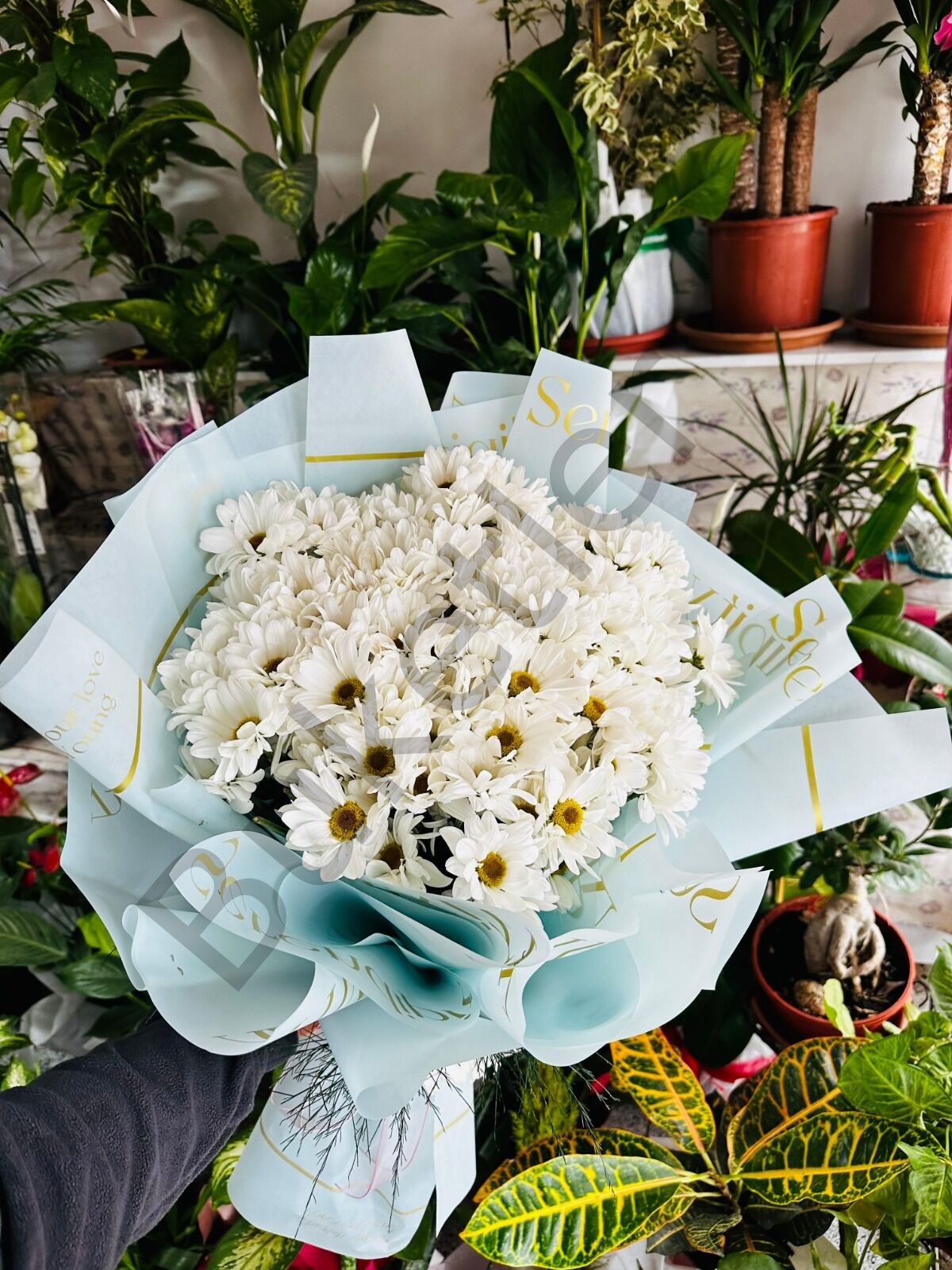 Kucak Dolusu Beyaz Papatya Buketi