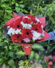 Kırmızı Gerbera & Beyaz Papatya Buketi