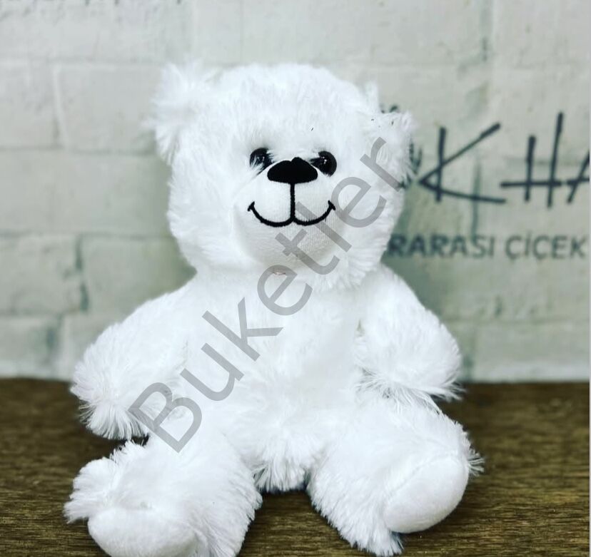 Beyaz Küçük Boy Ayıcık