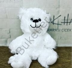 Beyaz Küçük Boy Ayıcık