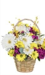 Beyaz Gerbera & Sarı Papatya Sepeti