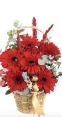 Kırmızı Gerbera Sepeti