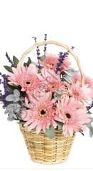 Pembe Gerbera Sepeti