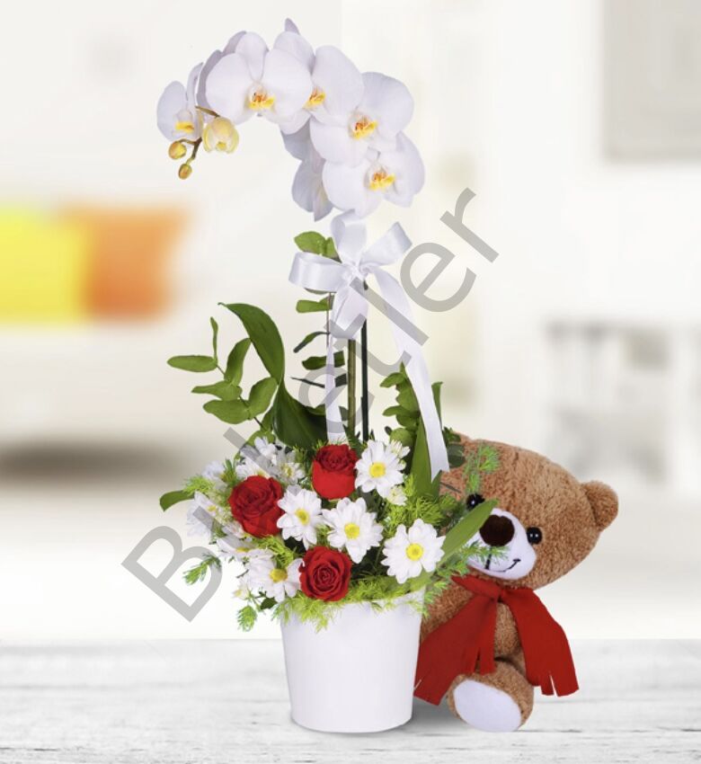 Gül Aranjmanlı Beyaz Tek Dallı Orkide & Ayıcık