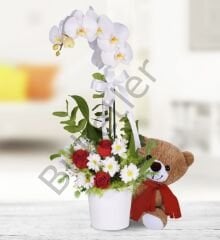 Gül Aranjmanlı Beyaz Tek Dallı Orkide & Ayıcık