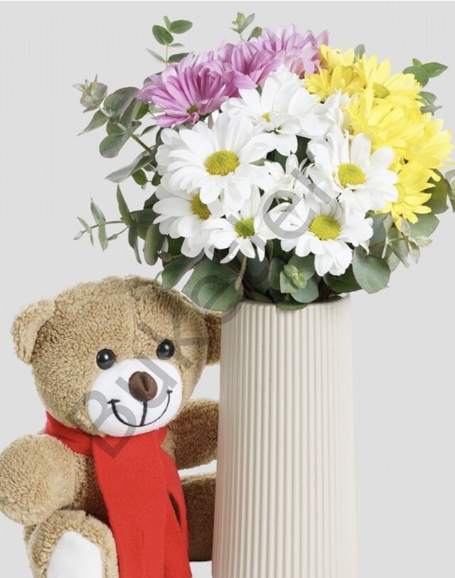 Vazoda Renkli Papatyalar & Ayıcık