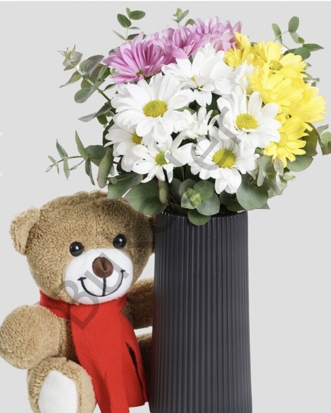 Siyah Vazoda Renkli Papatyalar & Ayıcık