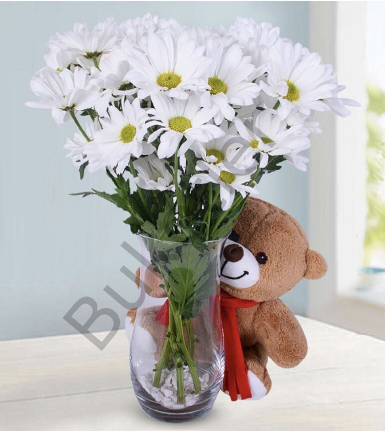 Cam Vazoda Beyaz Papatyalar & Ayıcık