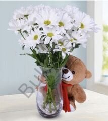 Cam Vazoda Beyaz Papatyalar & Ayıcık