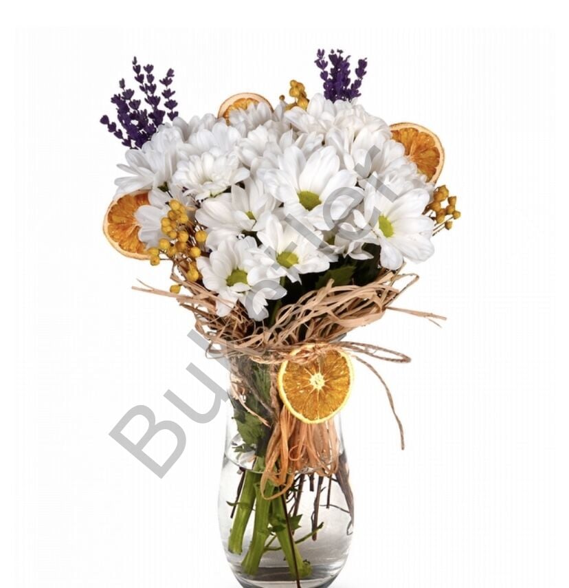 Vazoda Beyaz Papatya Aranjmanı