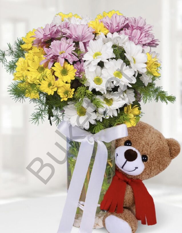 Cam Vazoda Renkli Papatyalar & Ayıcık