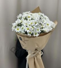 Beyaz Papatya Buketi