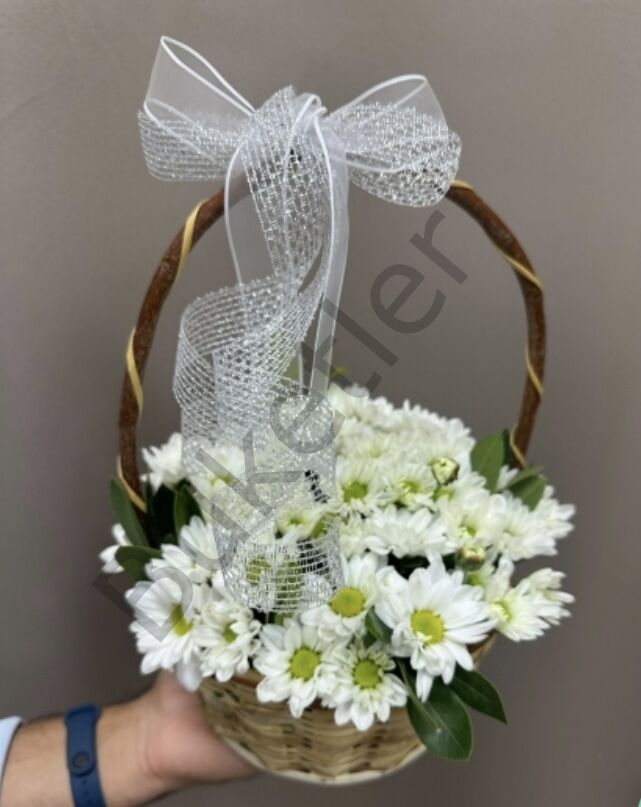 Sepette Beyaz Papatyalar