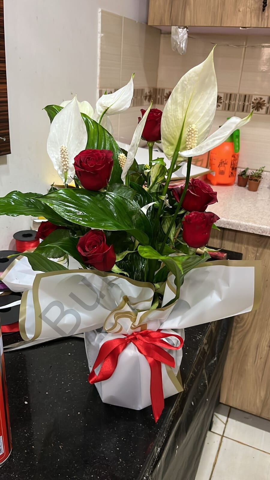 Kırmızı Güllü Beyaz spatifilyum