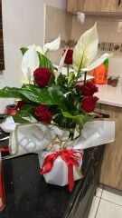 Kırmızı Güllü Beyaz spatifilyum